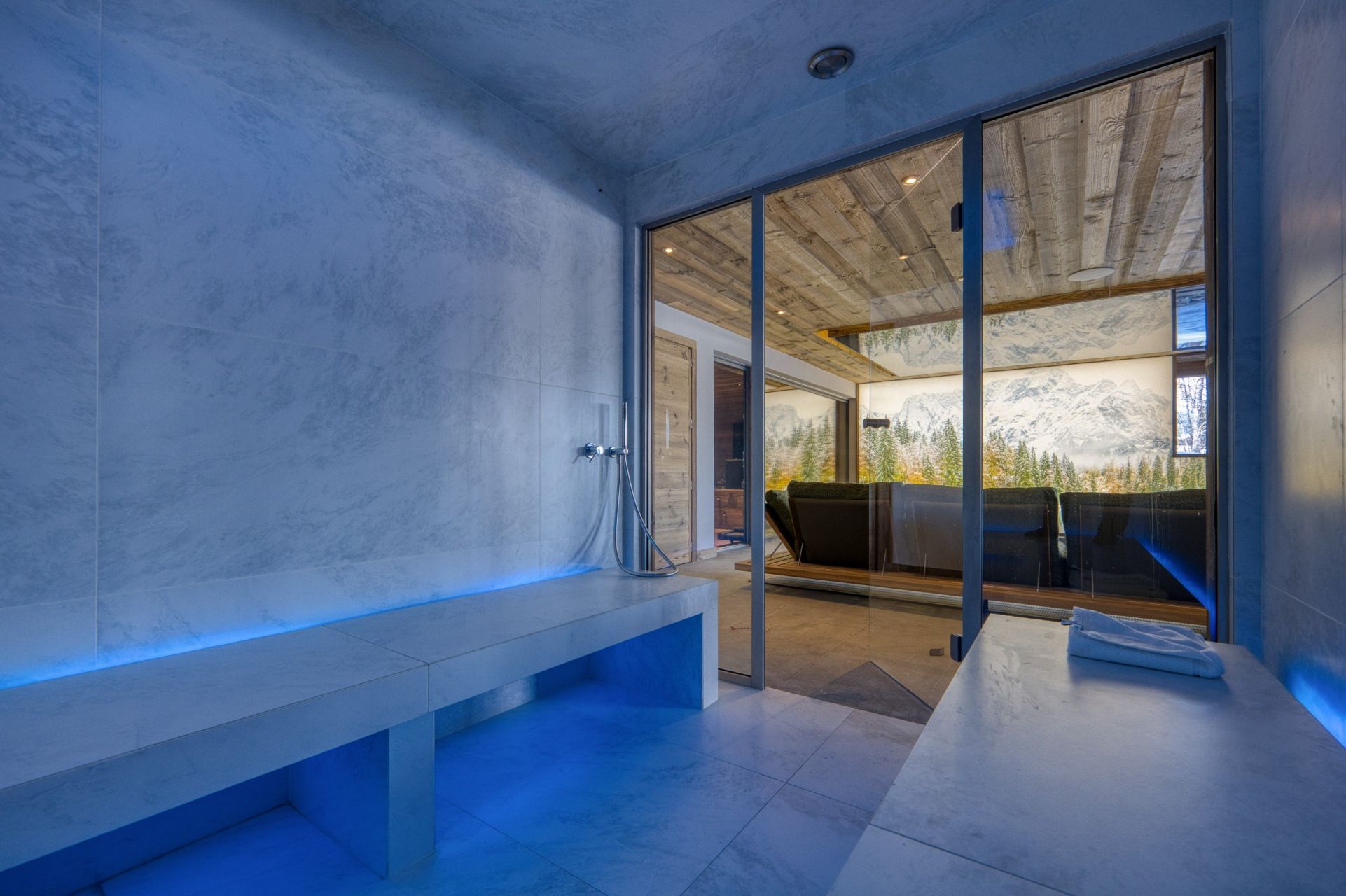 luxury chalet 10 Rooms for seasonal rent on MEGEVE (74120)