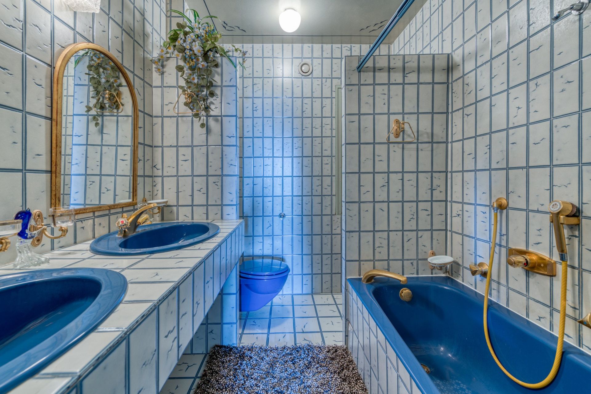 luxury apartment 6 Rooms for sale on EVIAN LES BAINS (74500)