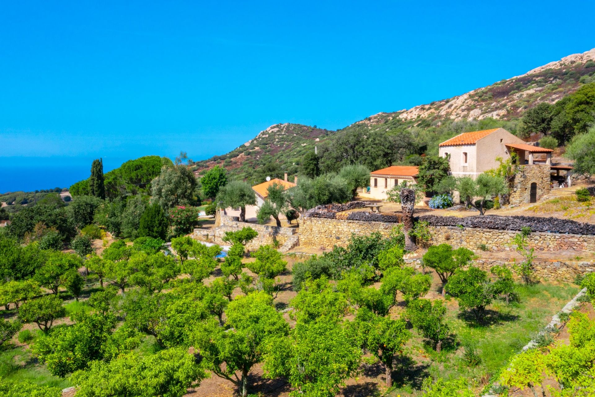 maison de luxe 9 Pièces en vente sur LUMIO (20260)