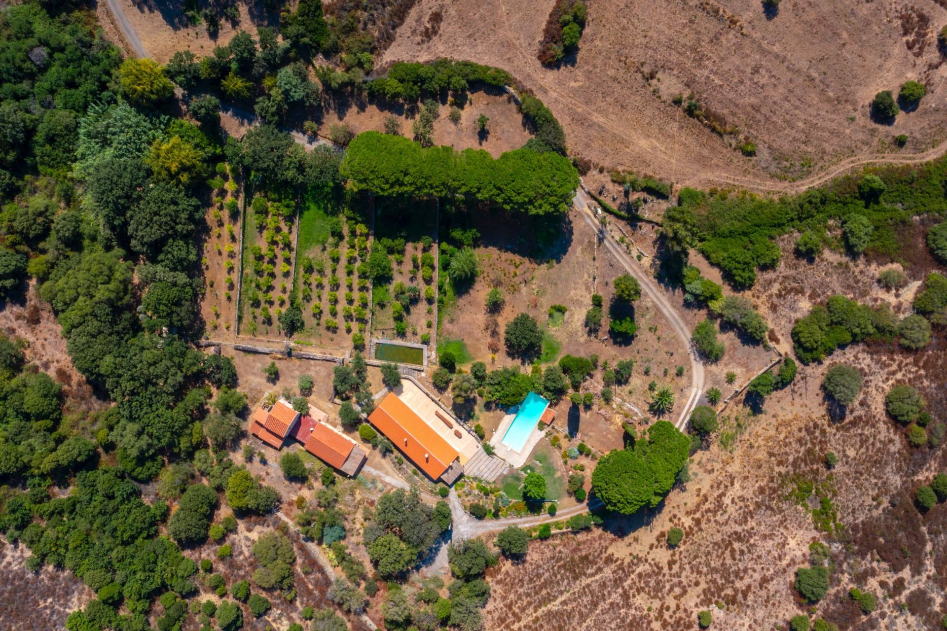 luxury house 9 Rooms for sale on LUMIO (20260)