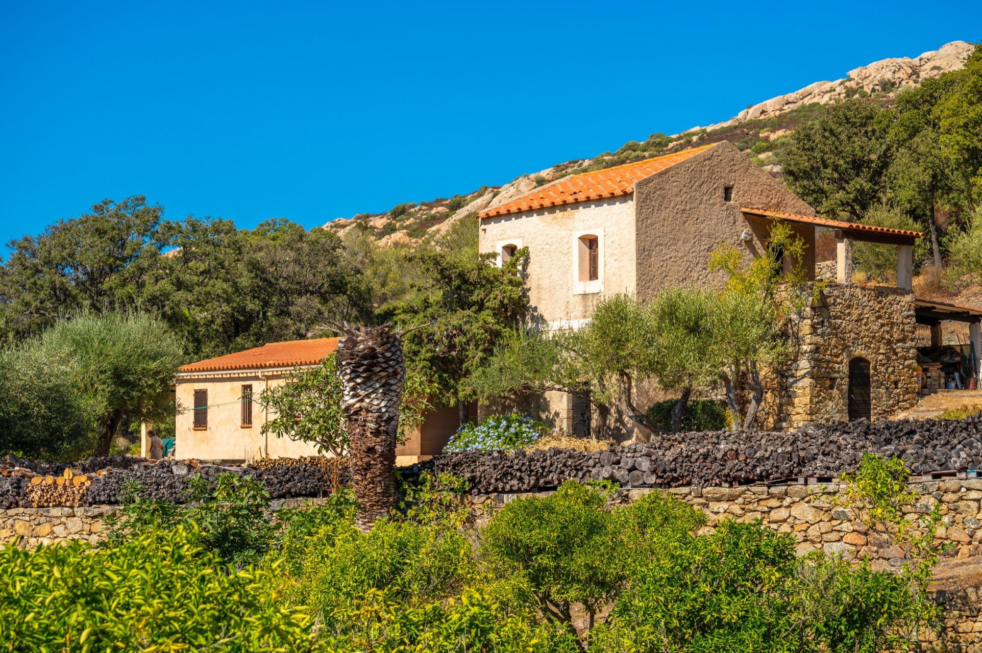 luxury house 9 Rooms for sale on LUMIO (20260)