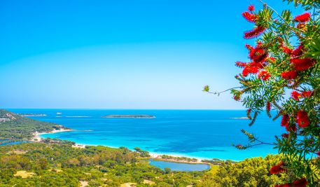 Vacances Villa de luxe Porto-Vecchio 8 Pièces 400 m²