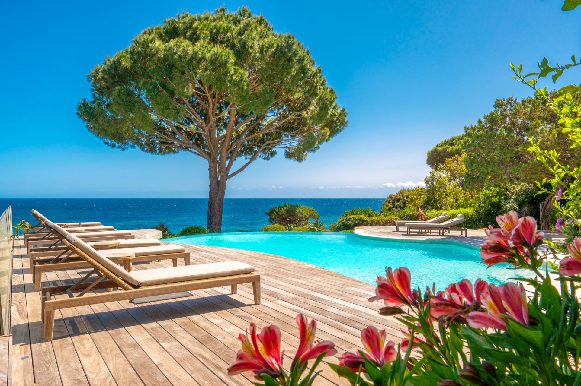 villa de luxe 7 Pièces en location saisonnière sur PORTO VECCHIO (20137)