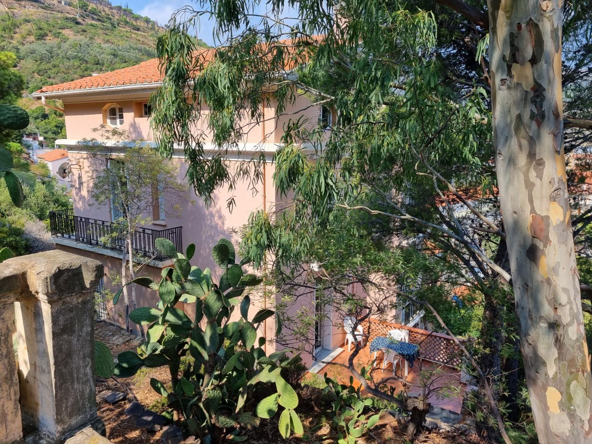 maison de luxe 8 Pièces en vente sur CERBERE (66290)