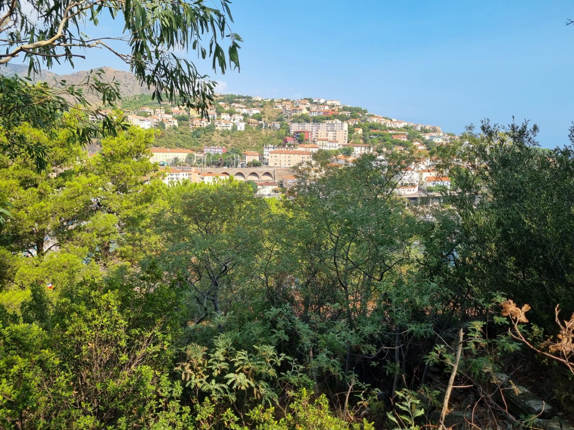 maison de luxe 8 Pièces en vente sur CERBERE (66290)