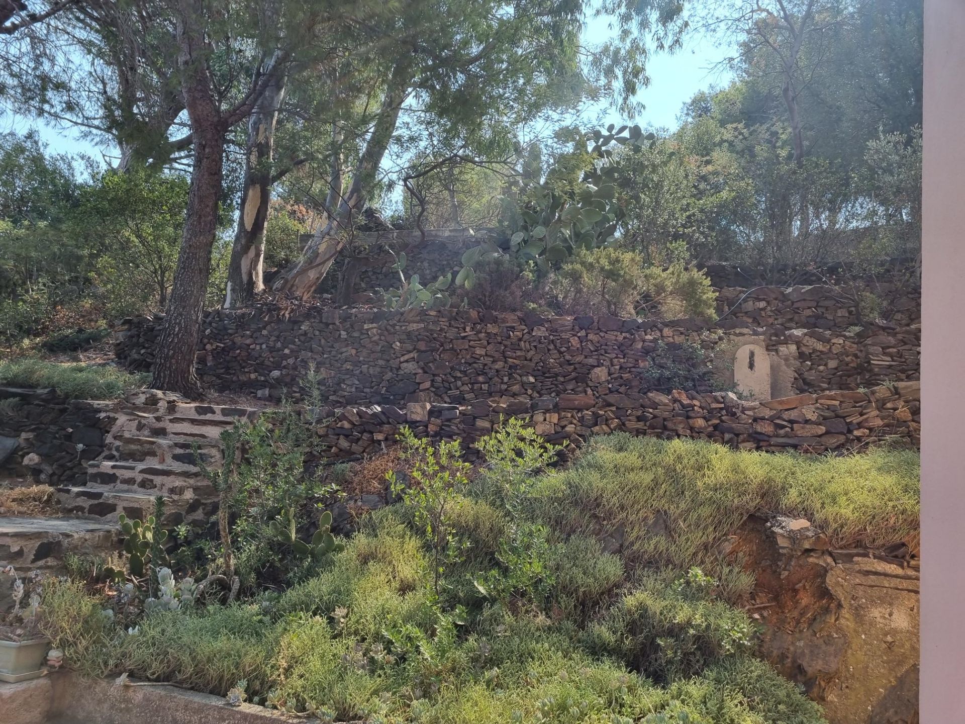 maison de luxe 8 Pièces en vente sur CERBERE (66290)