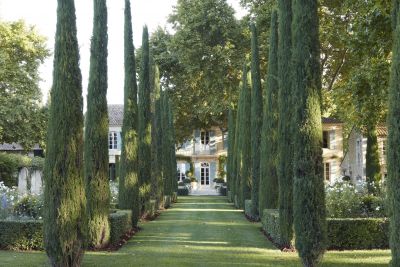 Rental Mas Avignon 18 Rooms 1300 m²