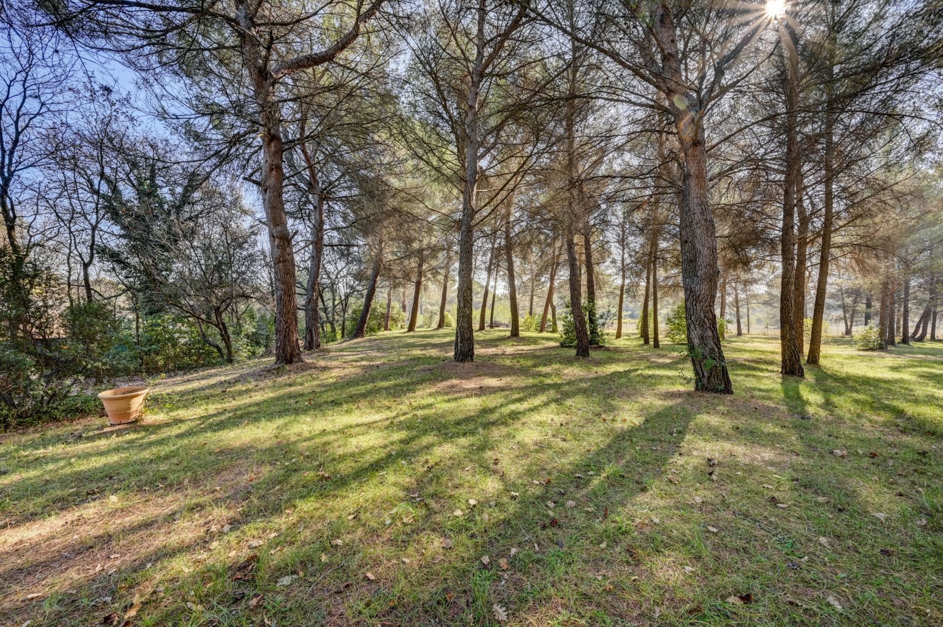 maison de luxe 8 Pièces en vente sur AIX EN PROVENCE (13100)