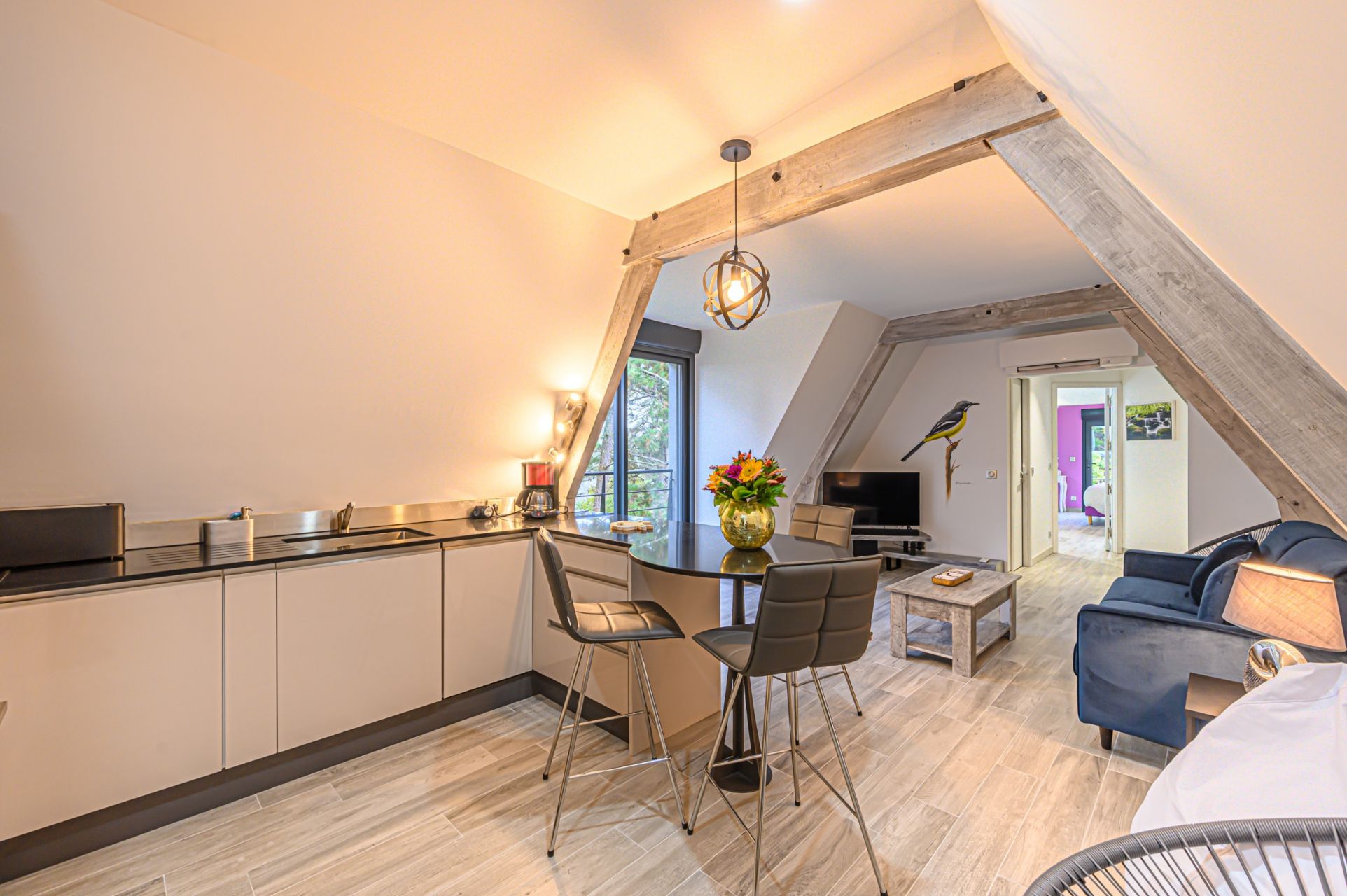 appartement de luxe 2 Pièces en location saisonnière sur GUIDEL (56520)