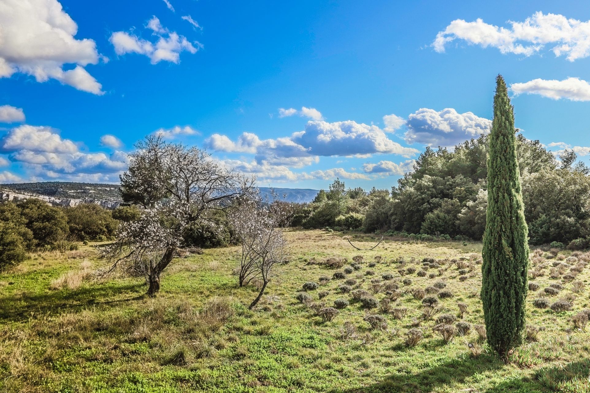 maison de luxe 12 Pièces en vente sur SAUMANE DE VAUCLUSE (84800)