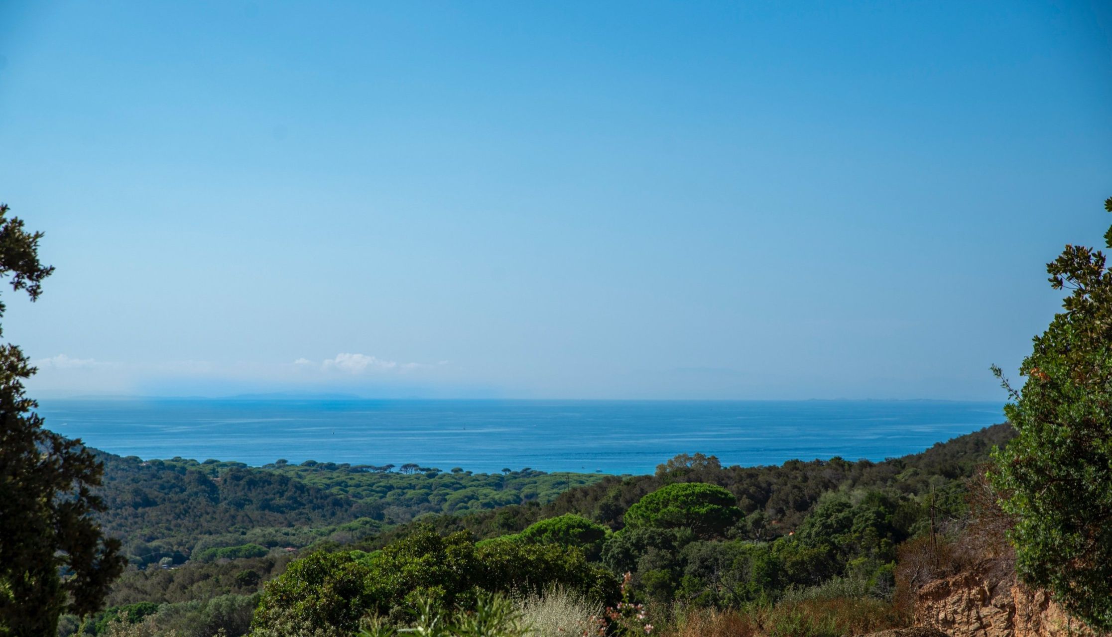 villa de luxe 6 Pièces en location saisonnière sur PORTO VECCHIO (20137)