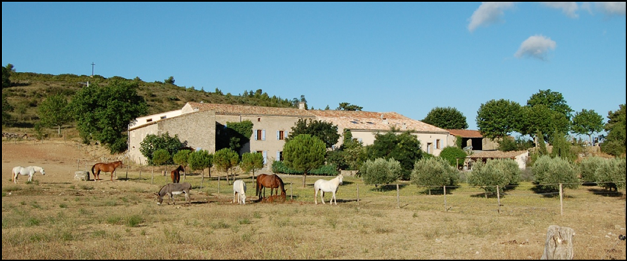 propriété de luxe 14 Pièces en vente sur LA LIVINIERE (34210)