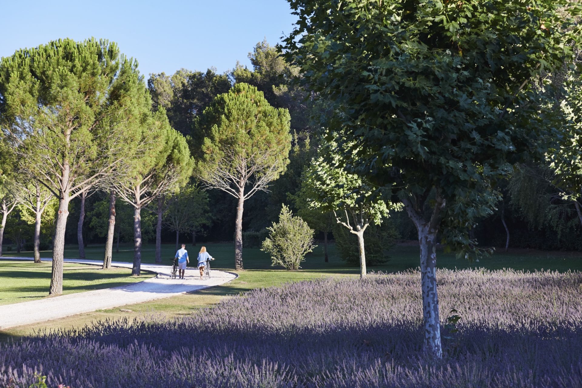 maison de luxe 17 Pièces en location saisonnière sur AIX EN PROVENCE (13100)
