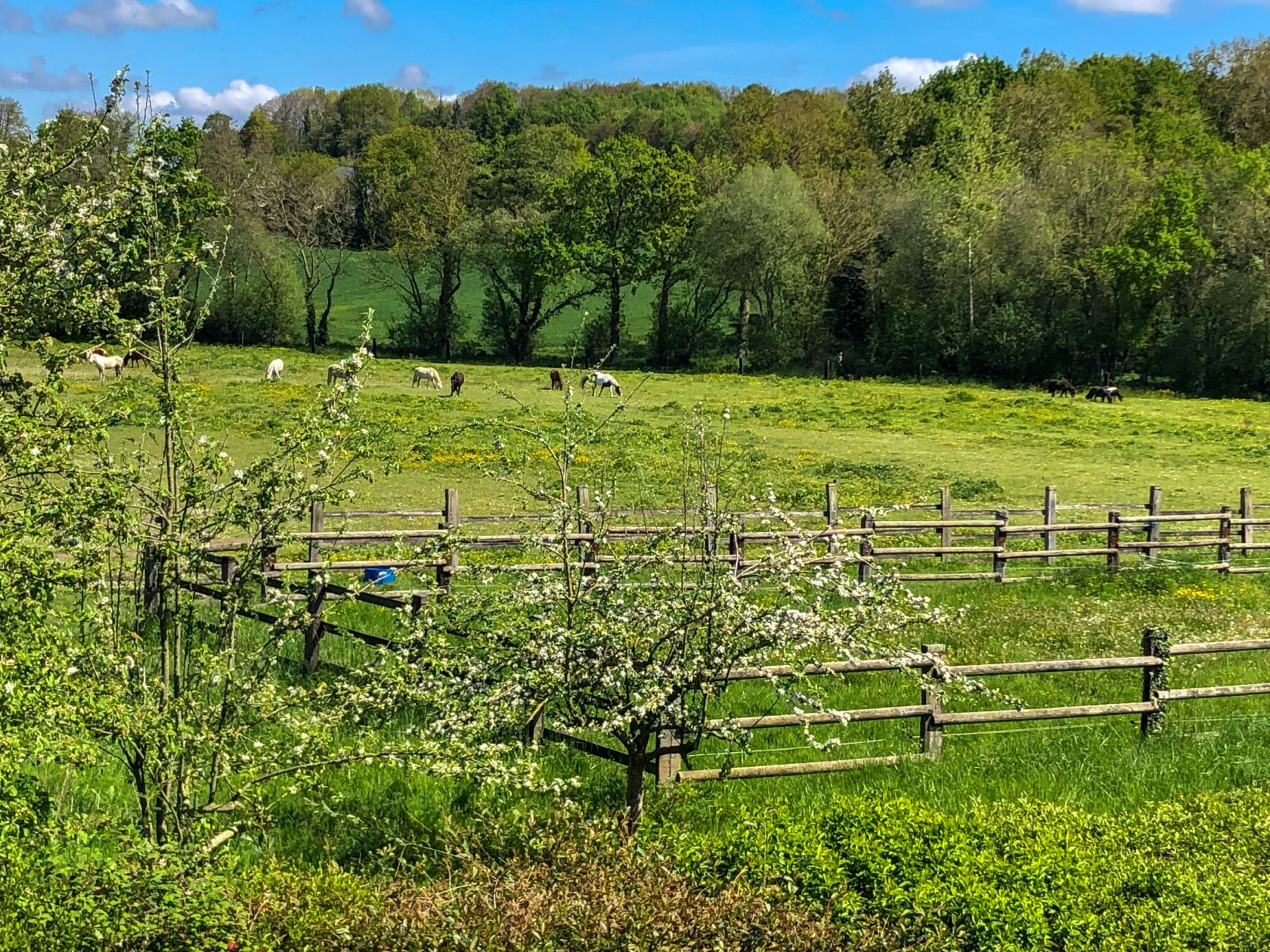 propriété équestre 7 Pièces en vente sur LANDEHEN (22400)