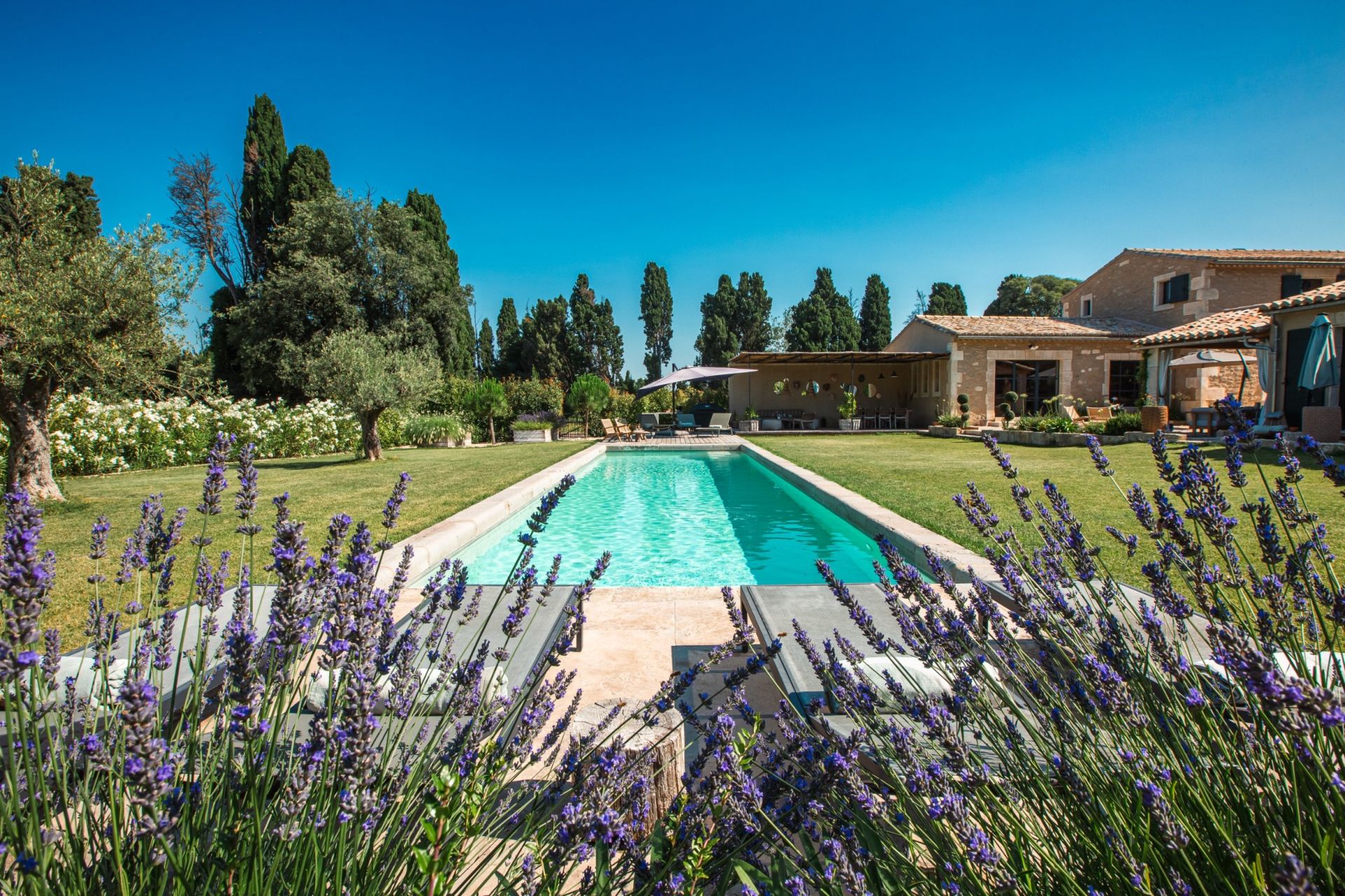 maison de luxe 6 Pièces en location saisonnière sur ST REMY DE PROVENCE (13210)