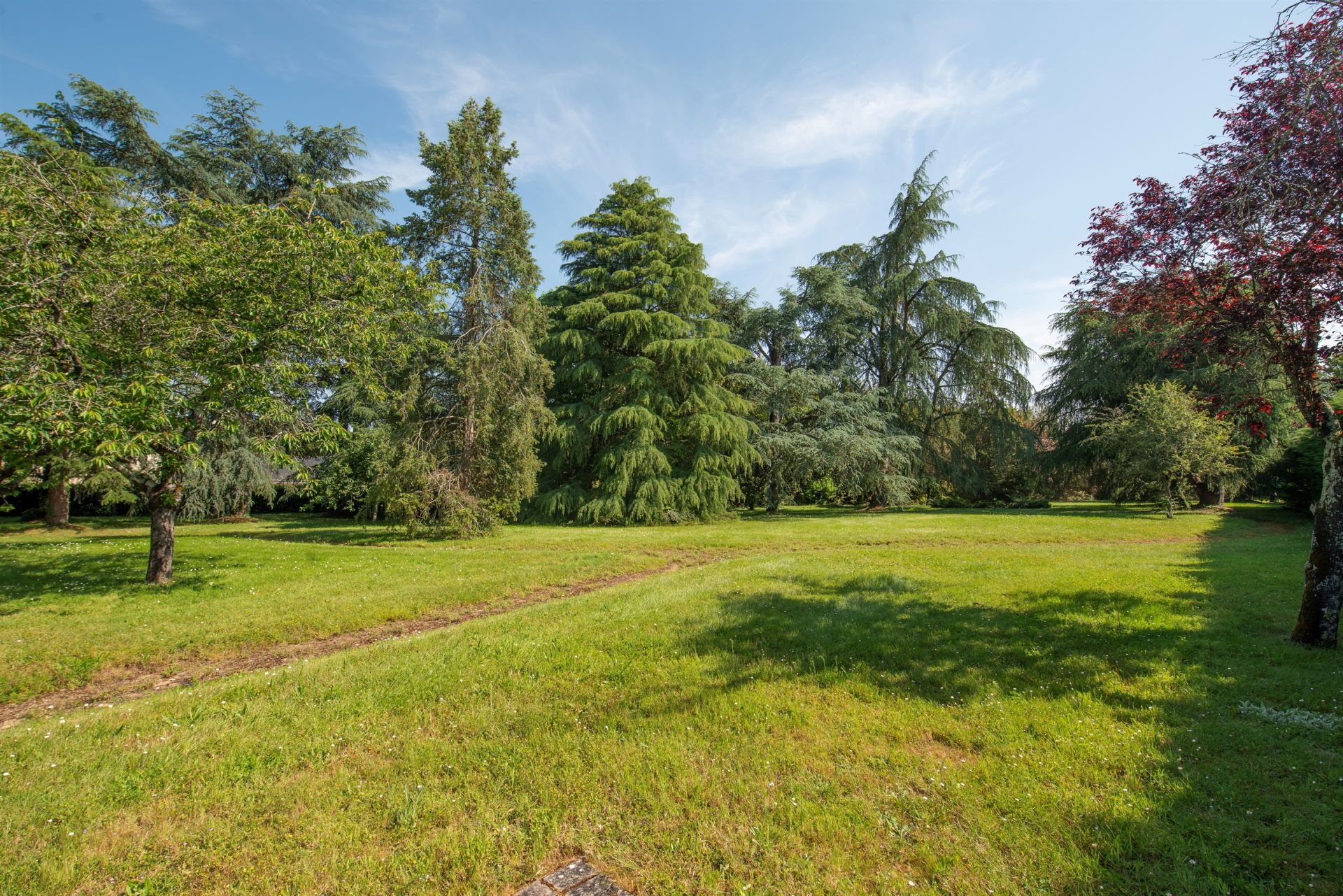 propriété de luxe 16 Pièces en vente sur ANGERS (49000)