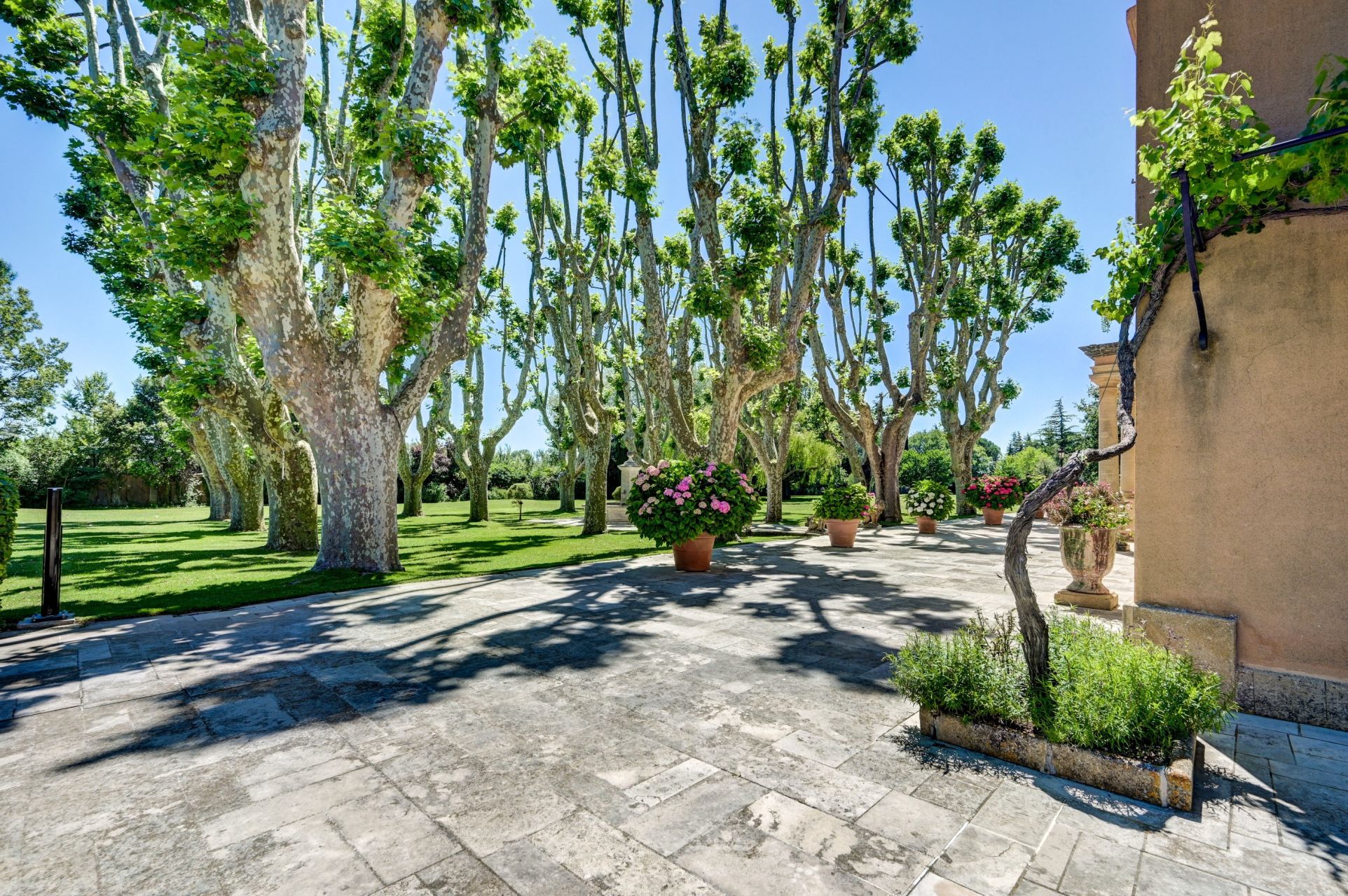 luxury property 23 Rooms for sale on AIX EN PROVENCE (13100)