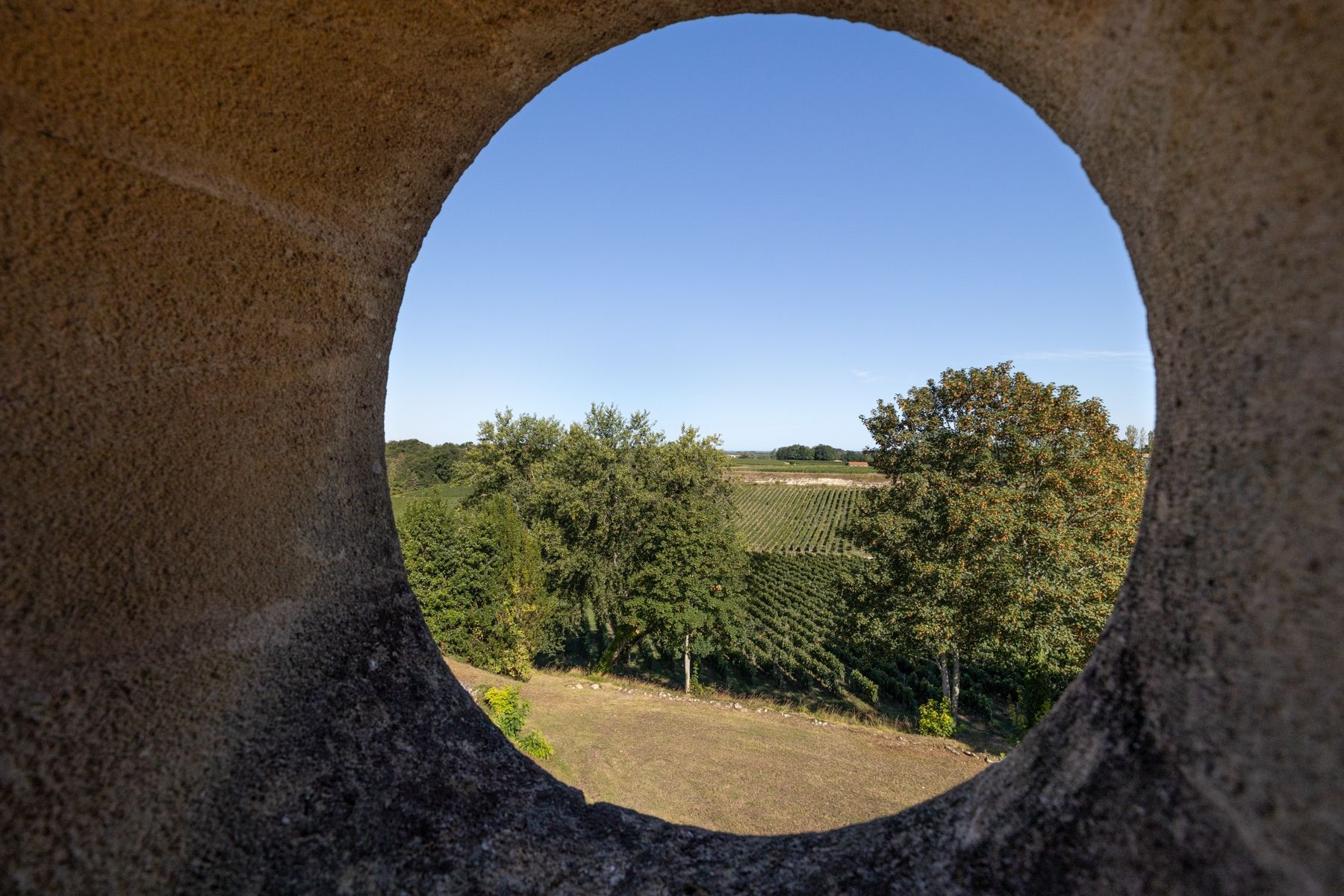 château 10 Pièces en vente sur BORDEAUX (33000)