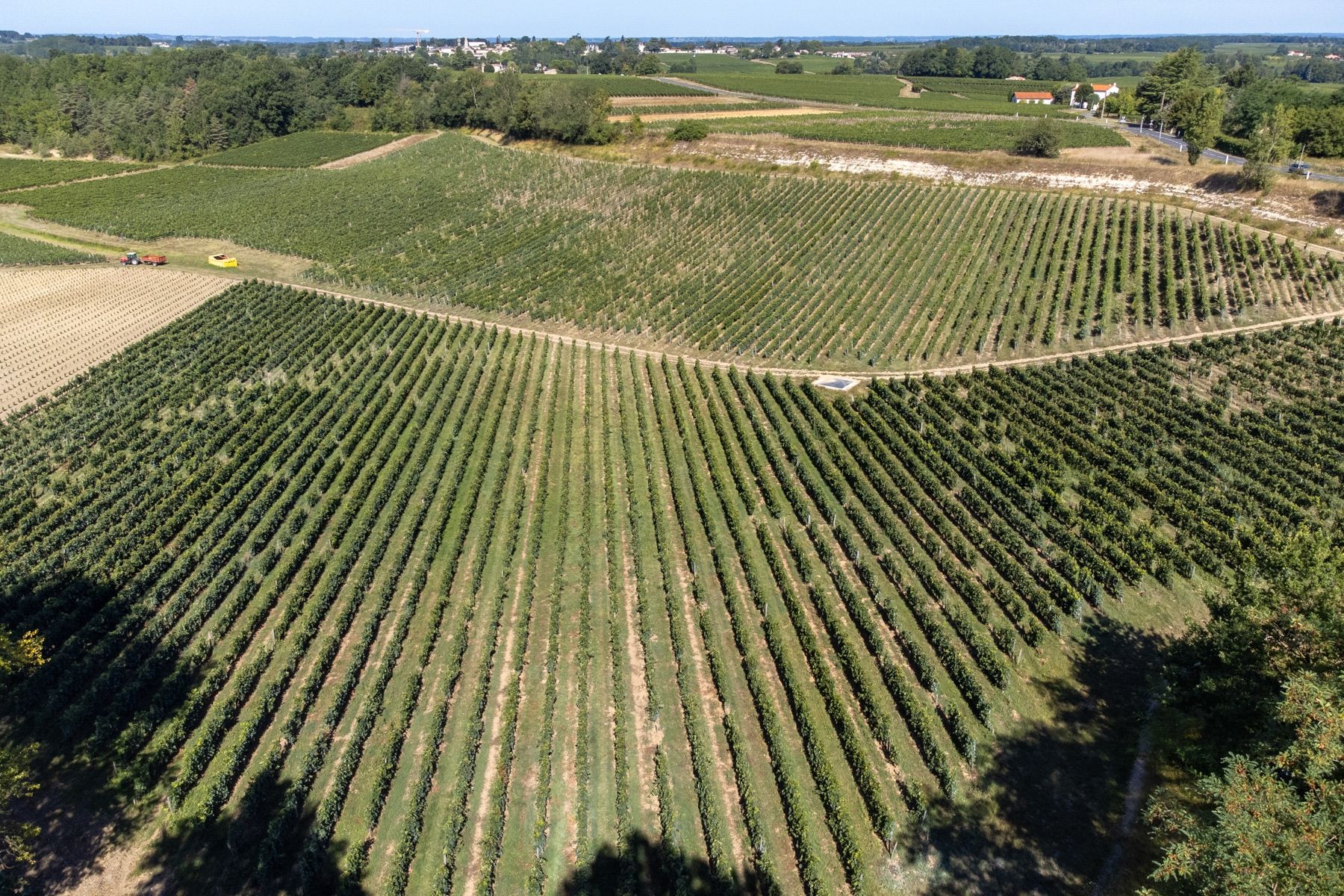 château 10 Pièces en vente sur BORDEAUX (33000)