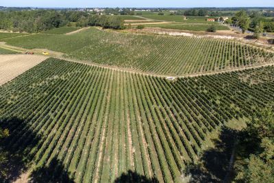 Château · Bordeaux