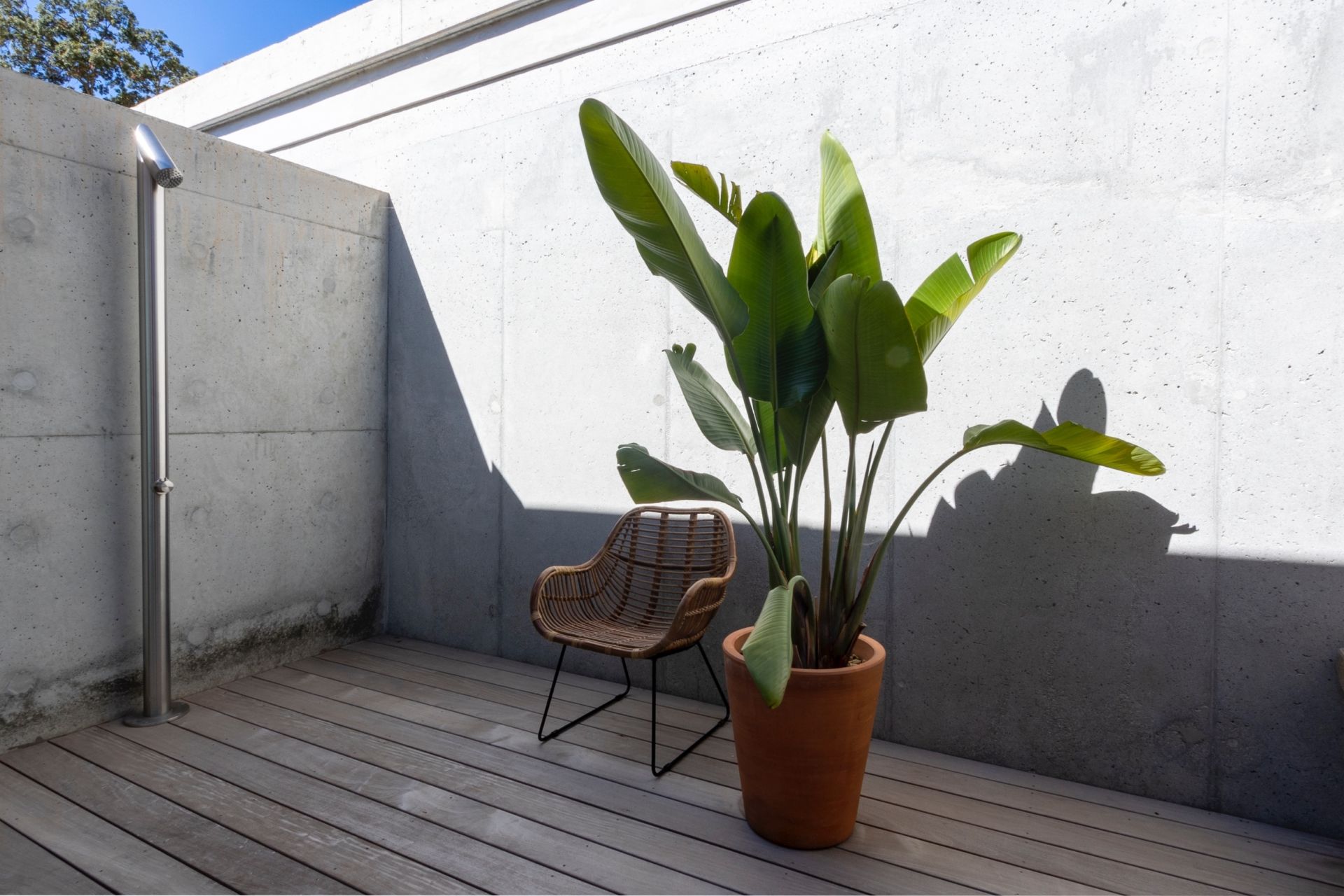villa de luxe 5 Pièces en location saisonnière sur OLMETO (20113)