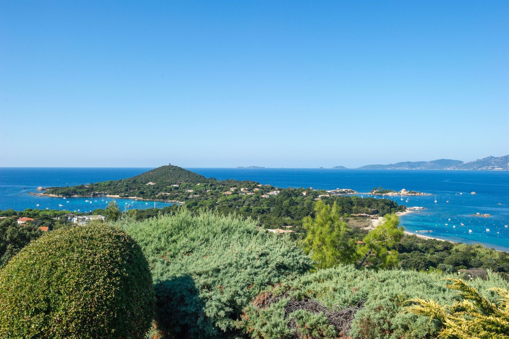 villa de luxe 7 Pièces en location saisonnière sur AJACCIO (20000)