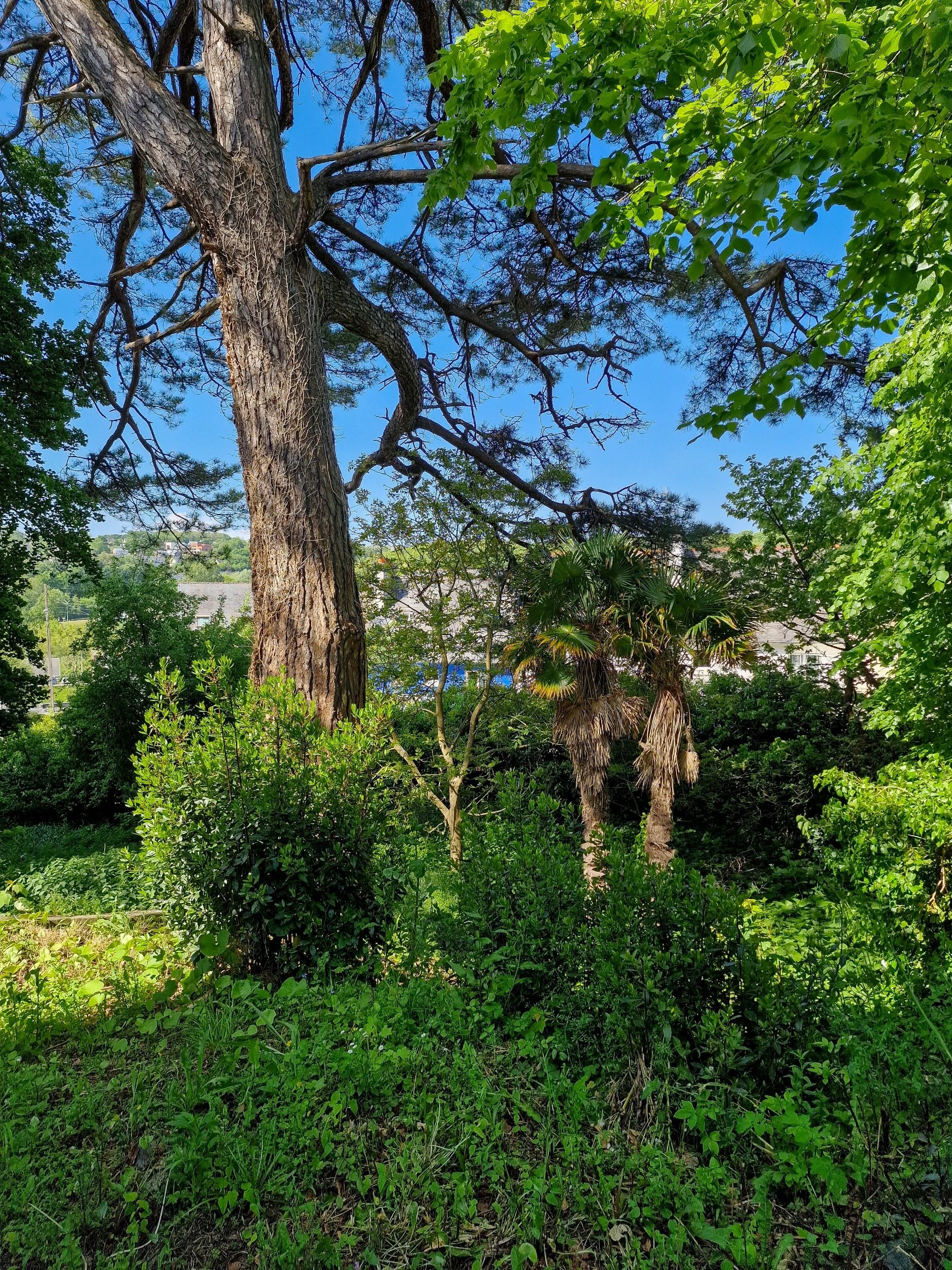 mansion 18 Rooms for sale on LANNION (22300)