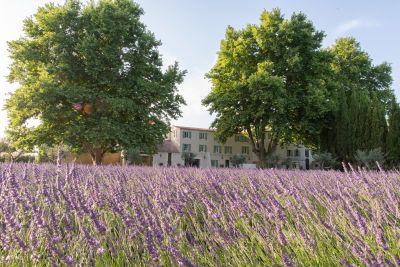 Vacances Bastide L'Isle-sur-la-Sorgue 12&nbsp;Pièces 710&nbsp;m²