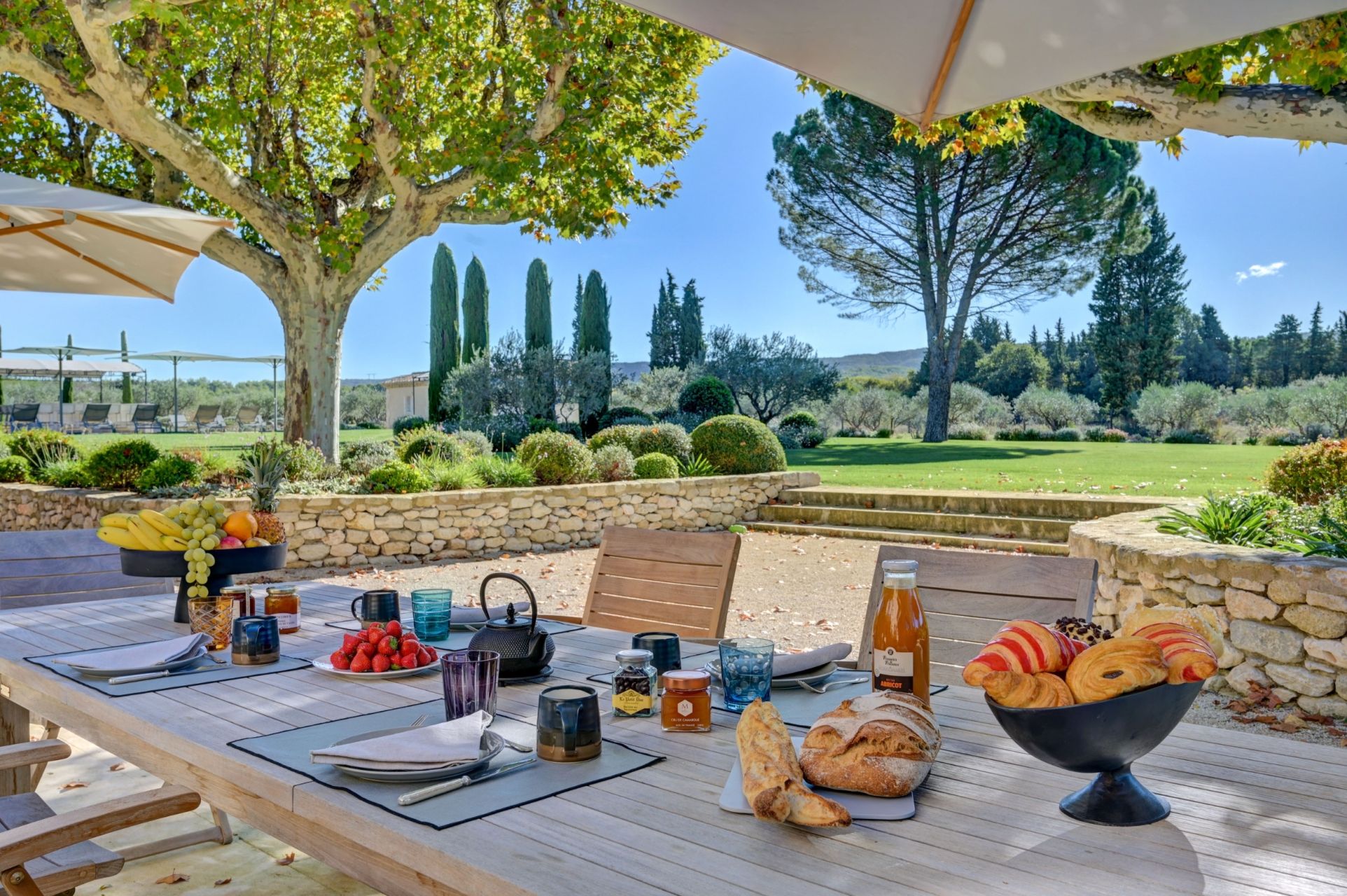 luxury house 9 Rooms for seasonal rent on EYGALIERES (13810)