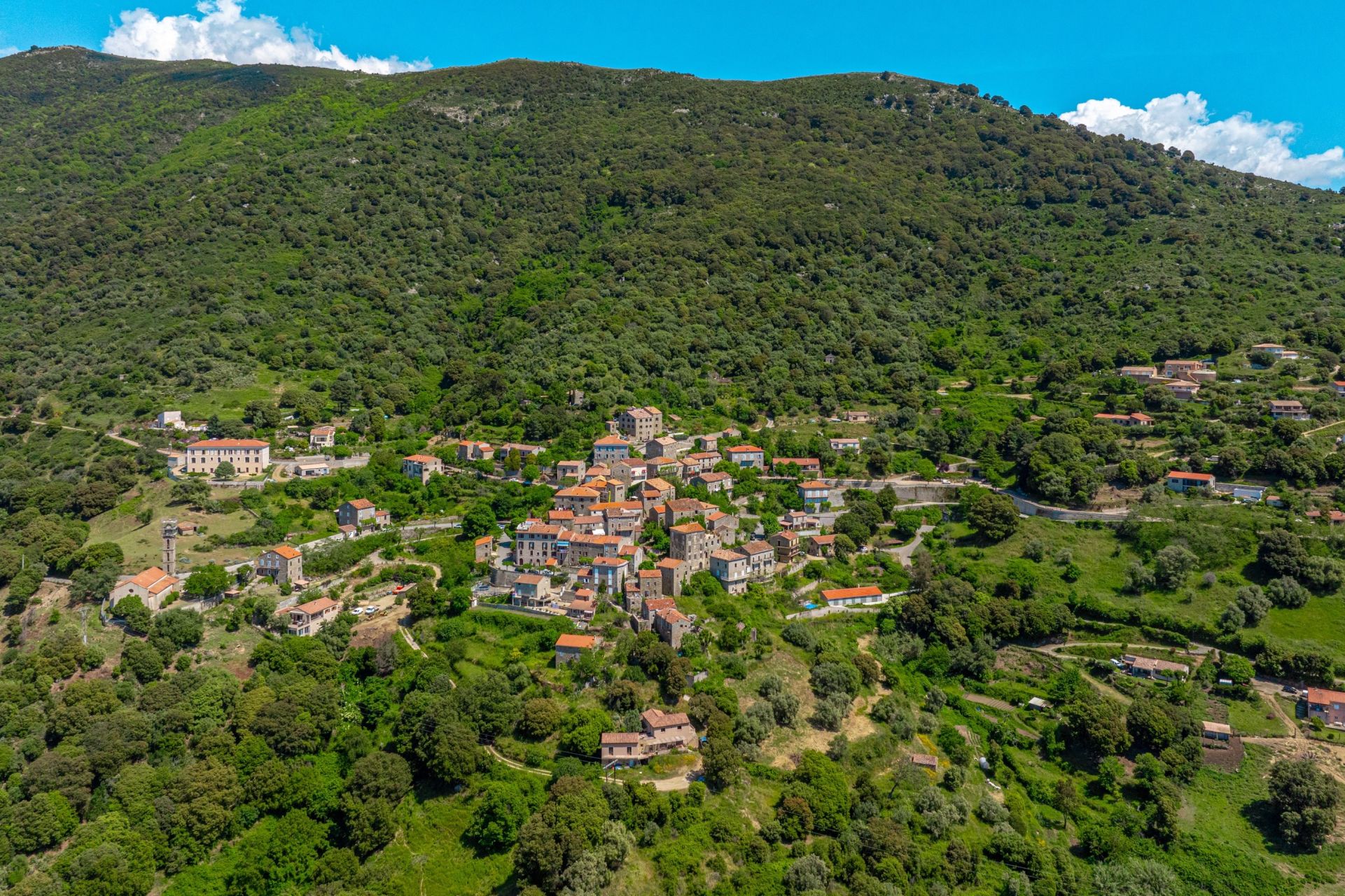 luxury house 12 Rooms for sale on PROPRIANO (20110)