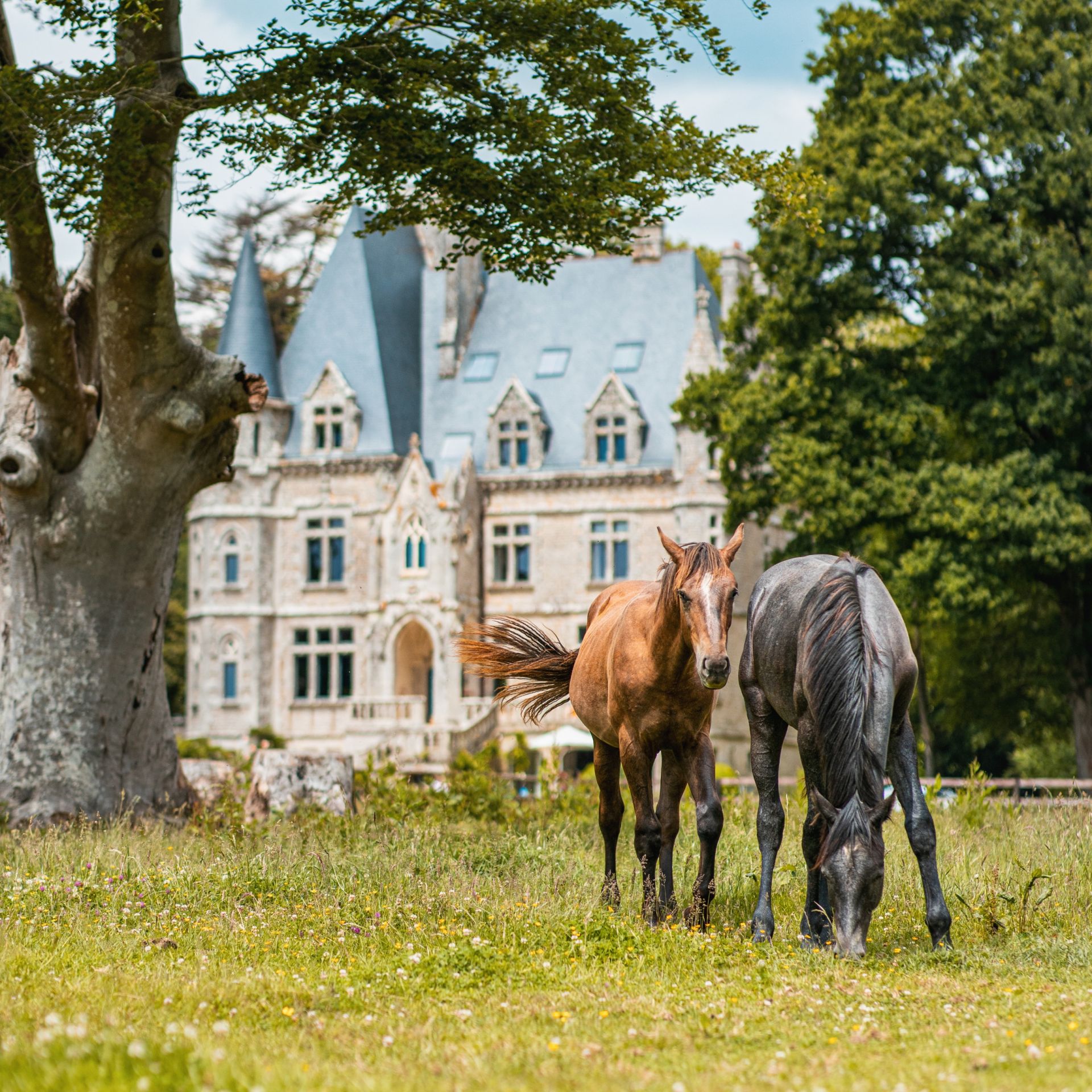 château 17 Pièces en location saisonnière sur PLAUDREN (56420)