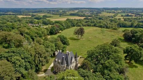 Vacances Château Plaudren 17&nbsp;Pièces 900&nbsp;m²