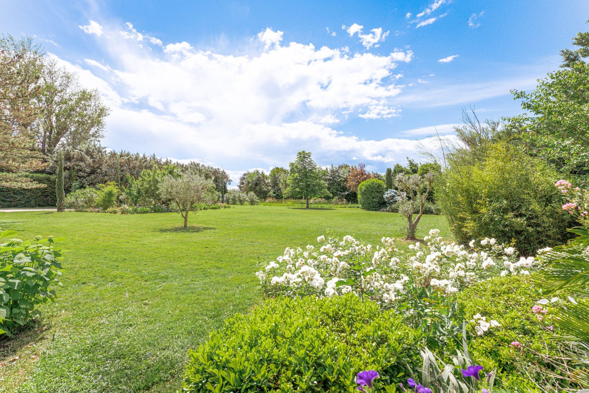 maison de luxe 8 Pièces en vente sur MAILLANE (13910)