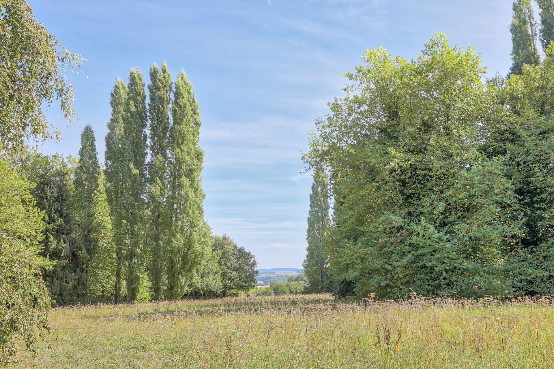 luxury house 10 Rooms for sale on MONTFORT L AMAURY (78490)