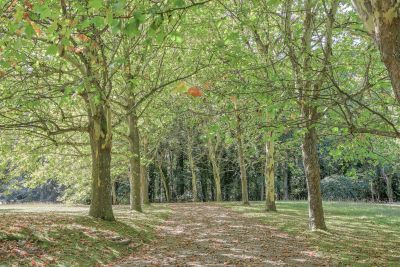 Sale Luxury house Montfort-l'Amaury 10 Rooms 450 m²