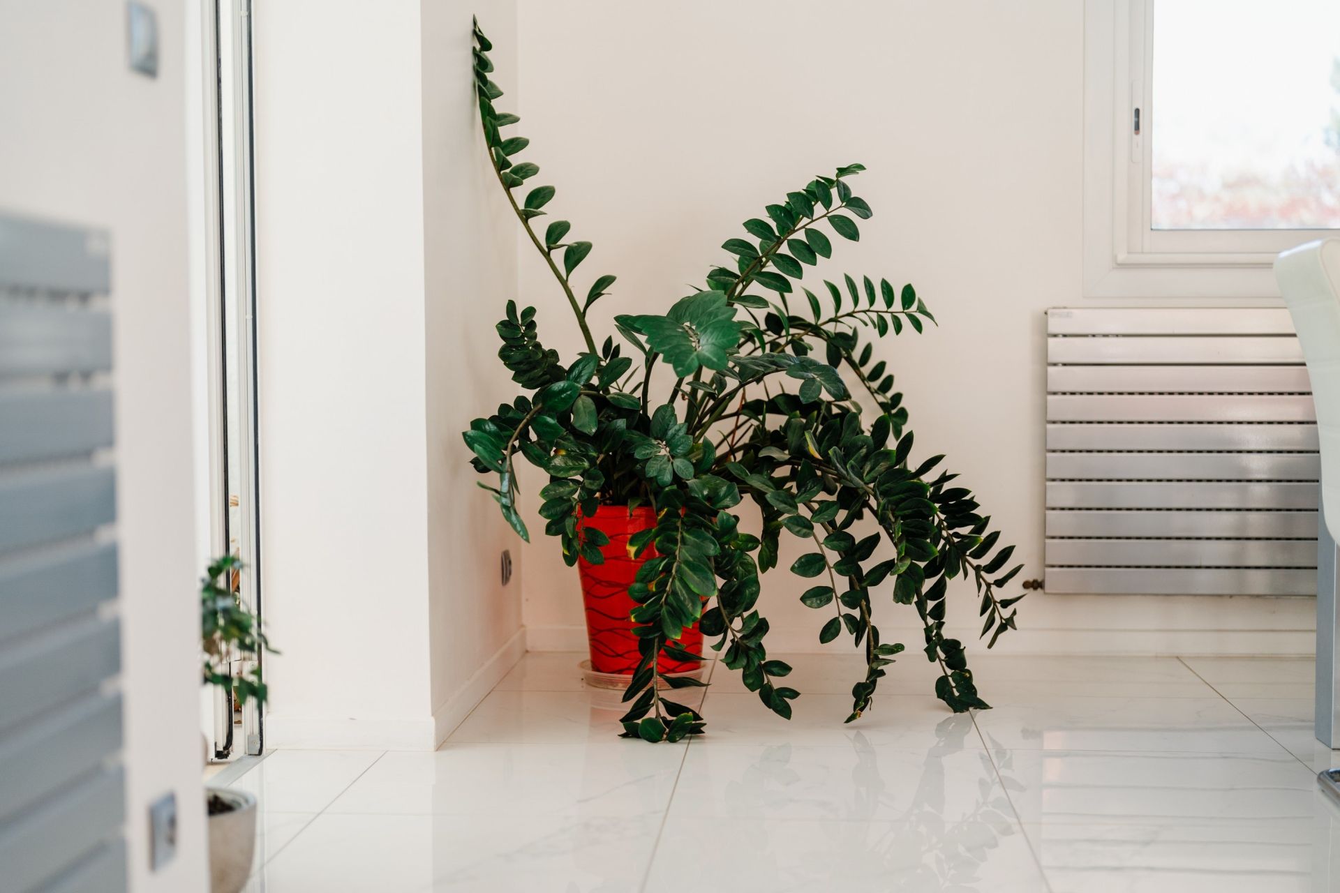 maison de luxe 8 Pièces en vente sur PERPIGNAN (66000)