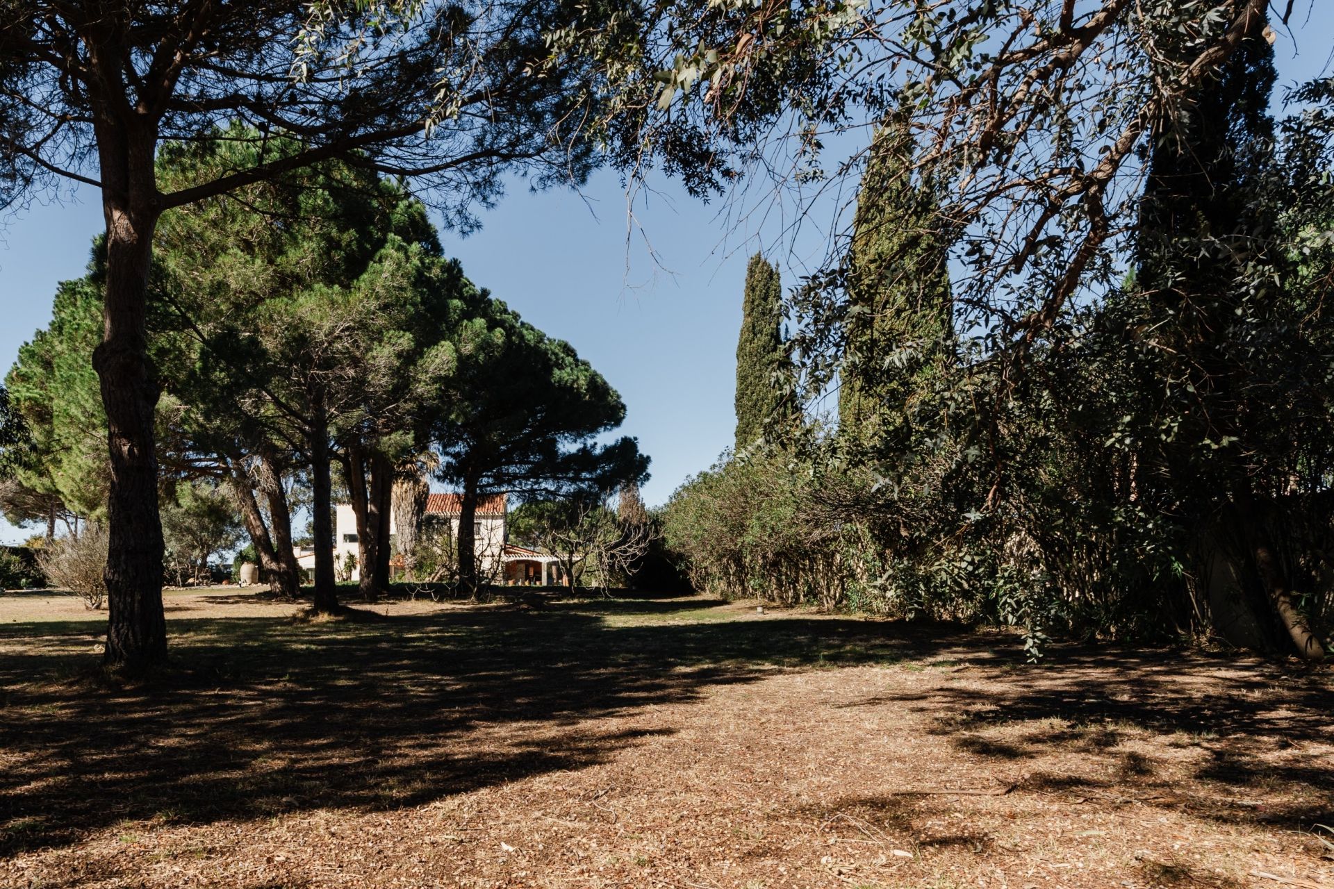 maison de luxe 8 Pièces en vente sur PERPIGNAN (66000)