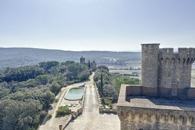 Vente Château Pont-Saint-Esprit 9 Pièces 385 m²
