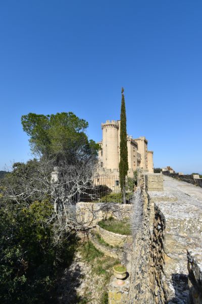 Vente Château Pont-Saint-Esprit 9 Pièces 385 m²