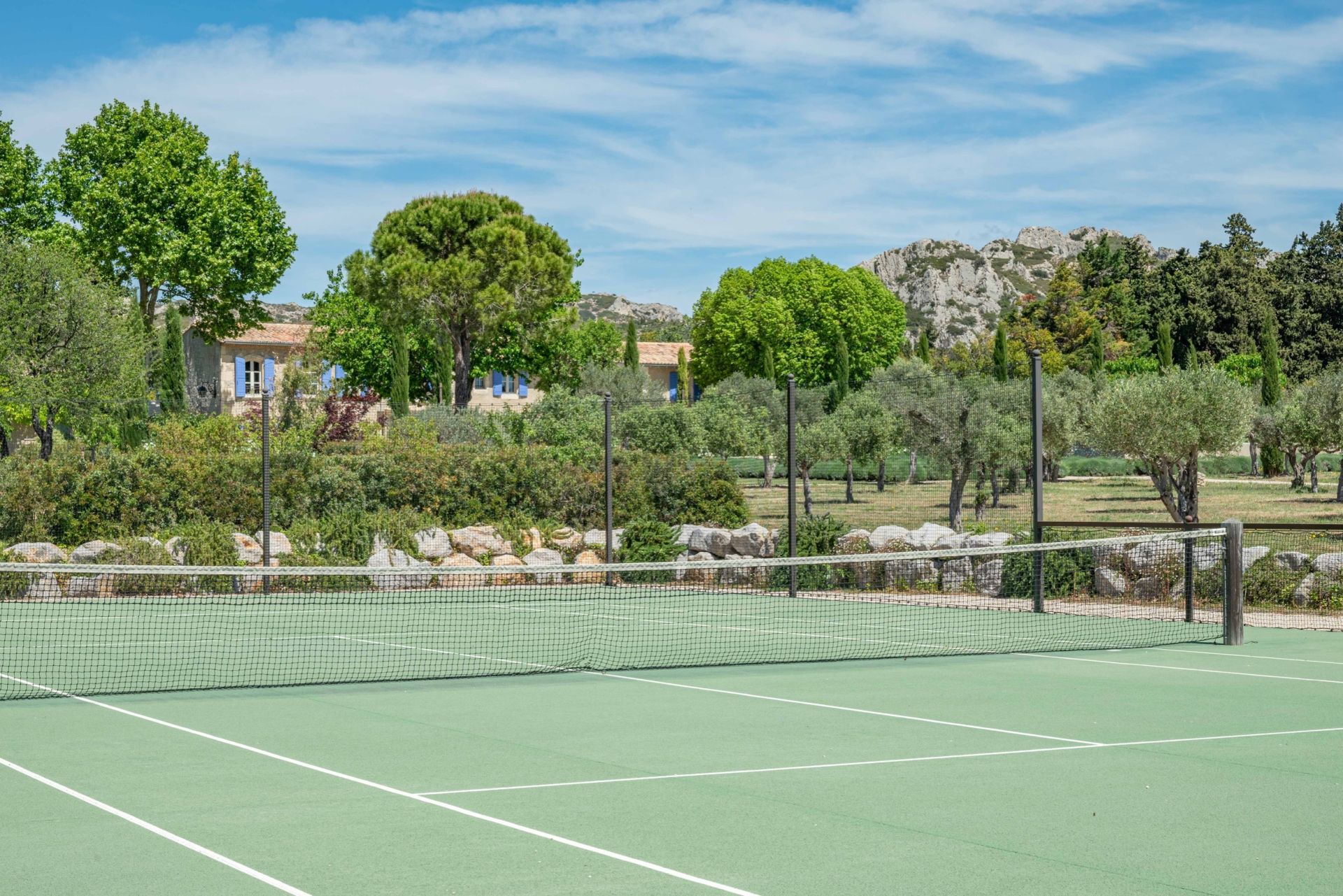 luxury house 8 Rooms for sale on MAUSSANE LES ALPILLES (13520)