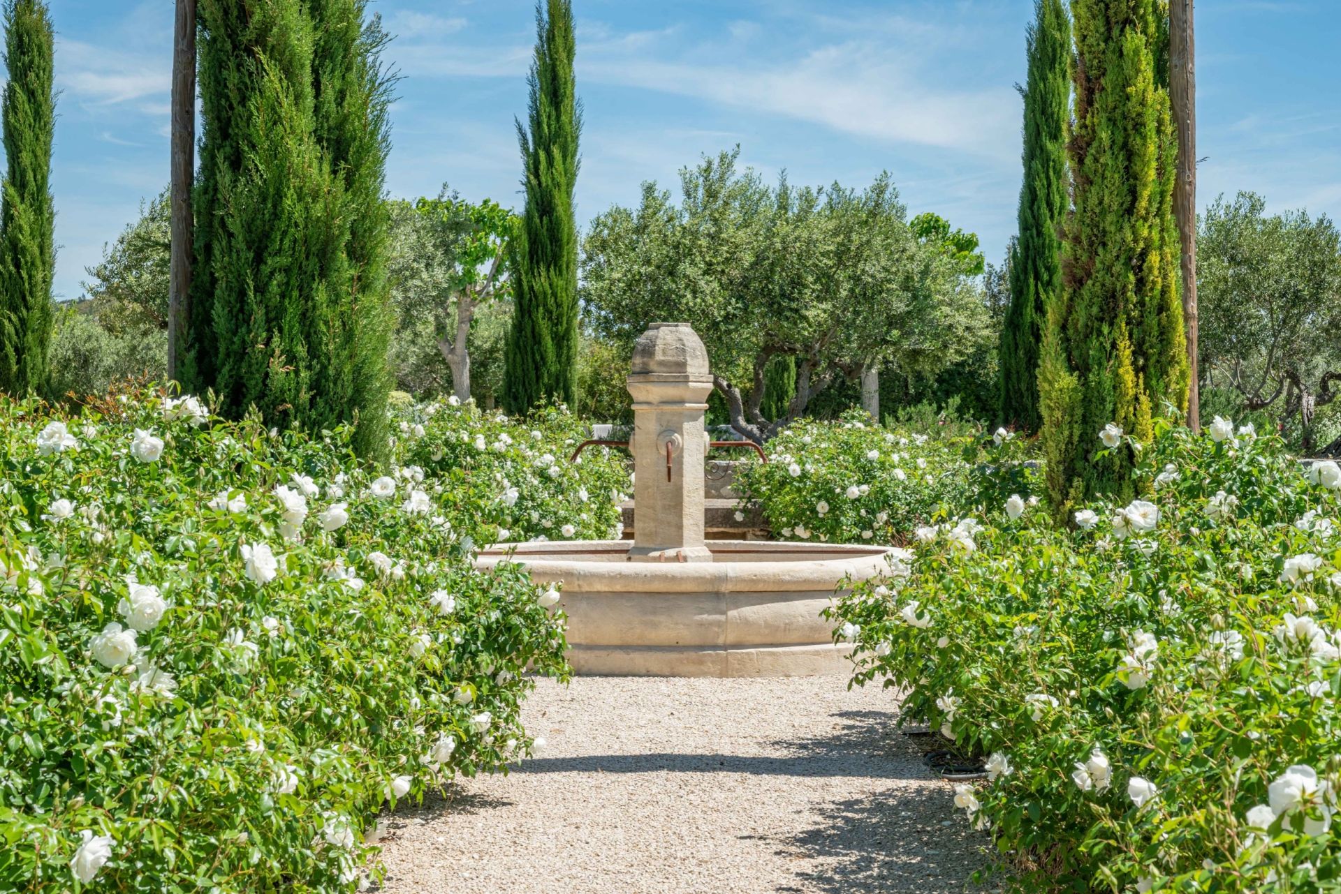 luxury house 8 Rooms for sale on MAUSSANE LES ALPILLES (13520)