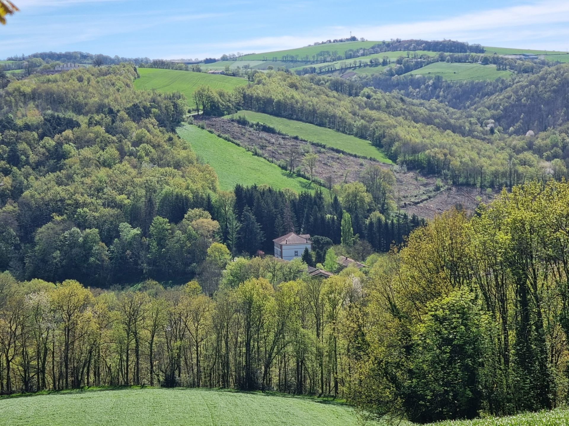 maison de luxe 11 Pièces en vente sur ALBI (81000)