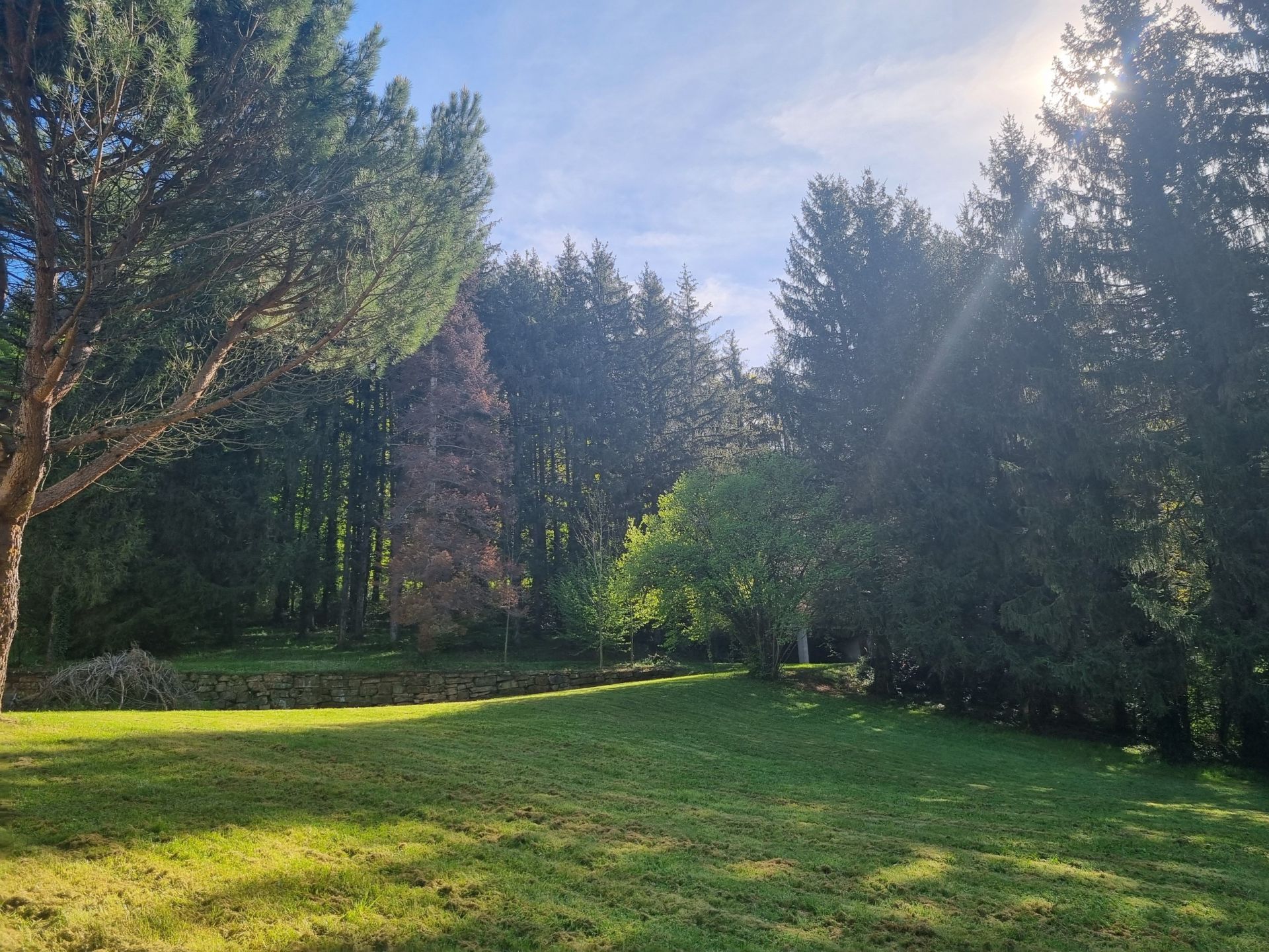 maison de luxe 11 Pièces en vente sur ALBI (81000)