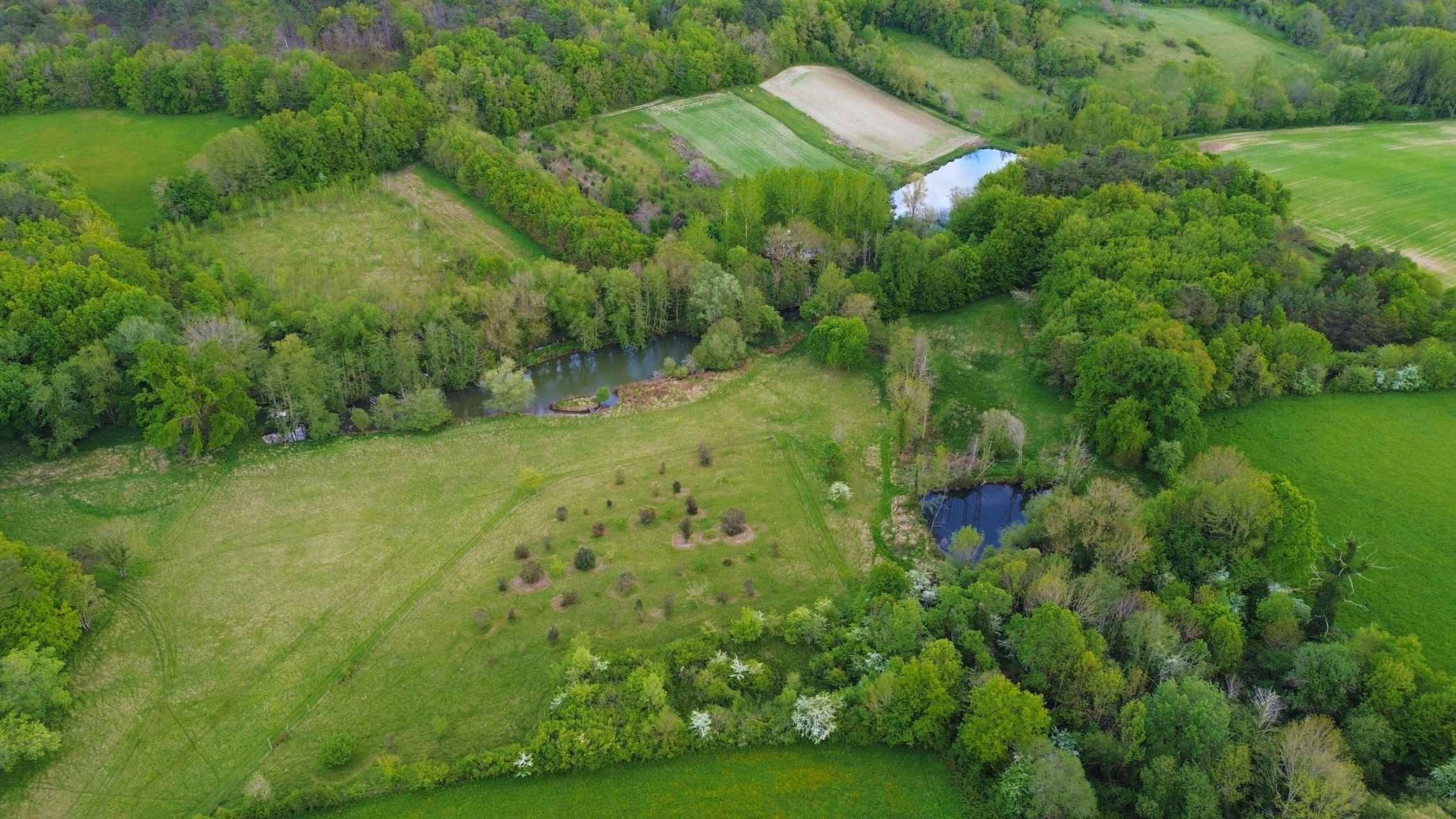 luxury house 23 Rooms for sale on ST ASTIER (24110)