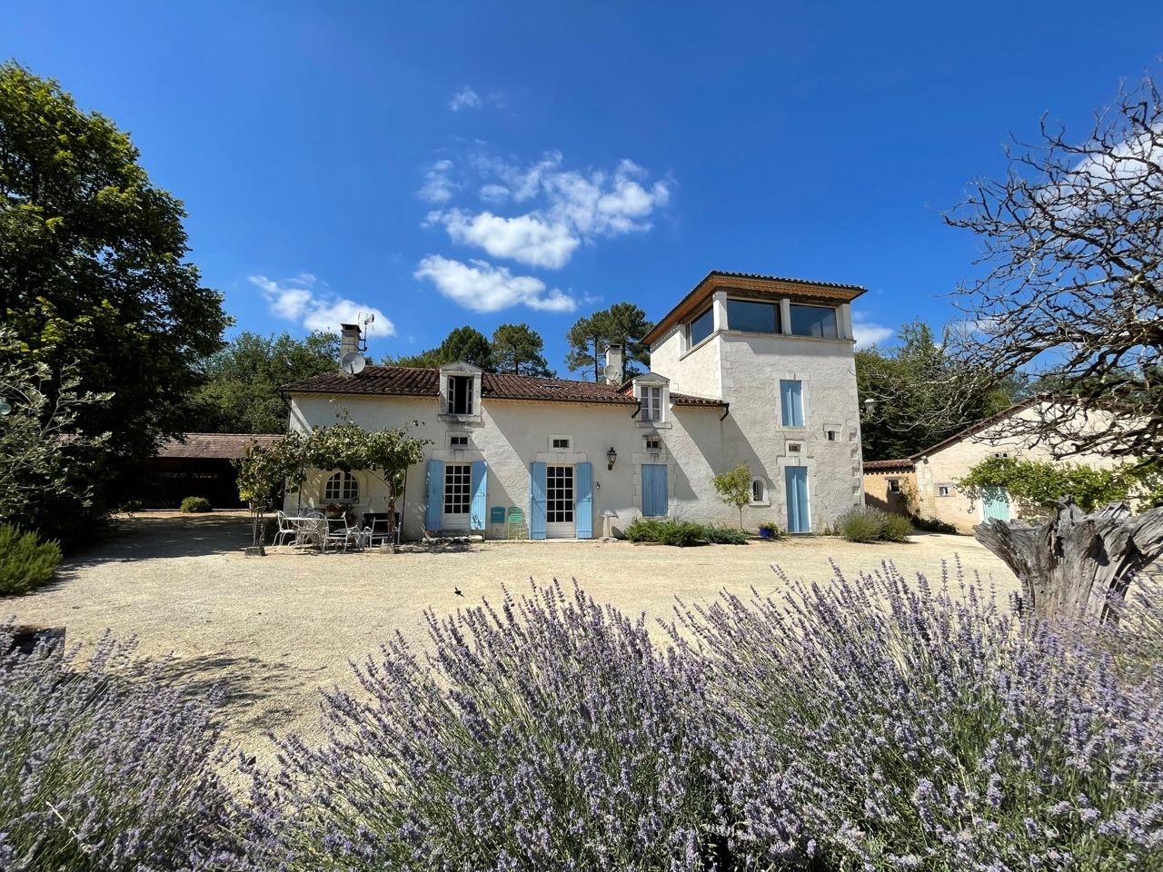 luxury house 23 Rooms for sale on ST ASTIER (24110)