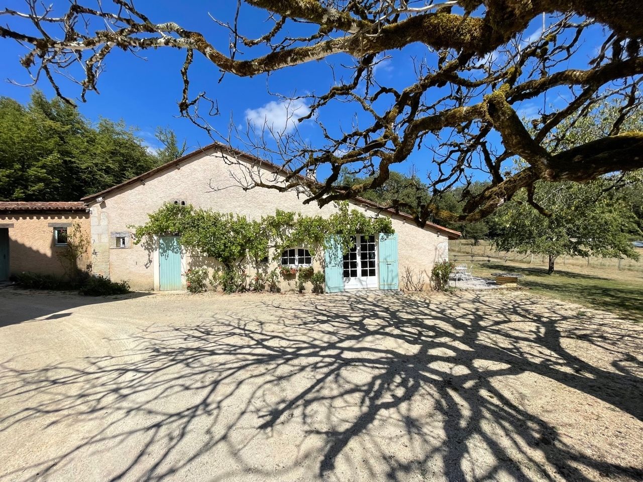 luxury house 23 Rooms for sale on ST ASTIER (24110)