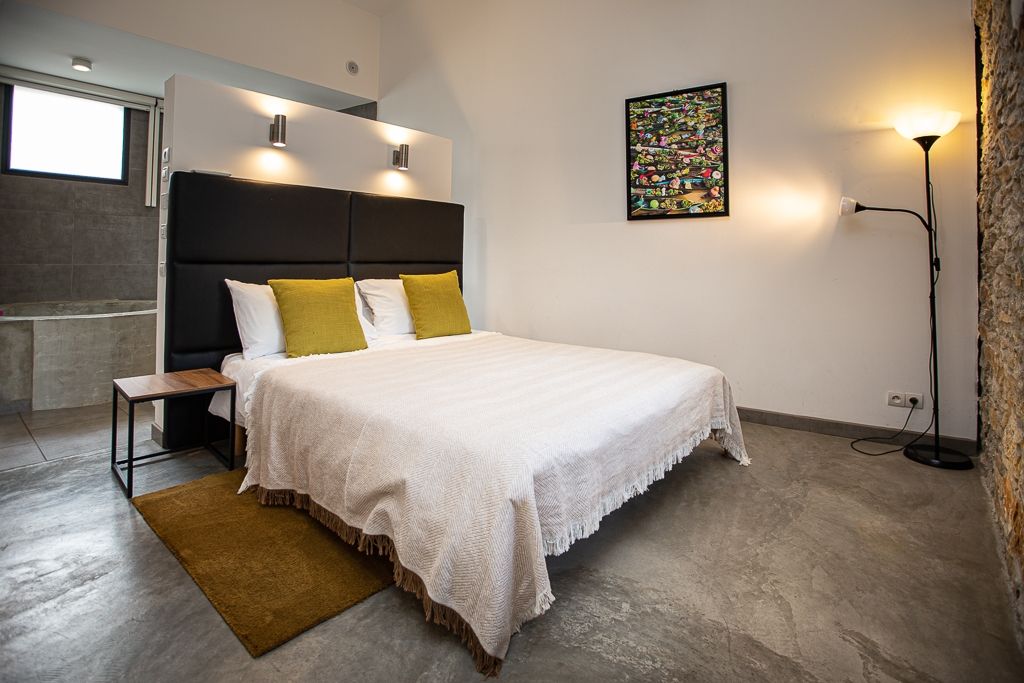 luxury house 12 Rooms for sale on CARCASSONNE (11000)