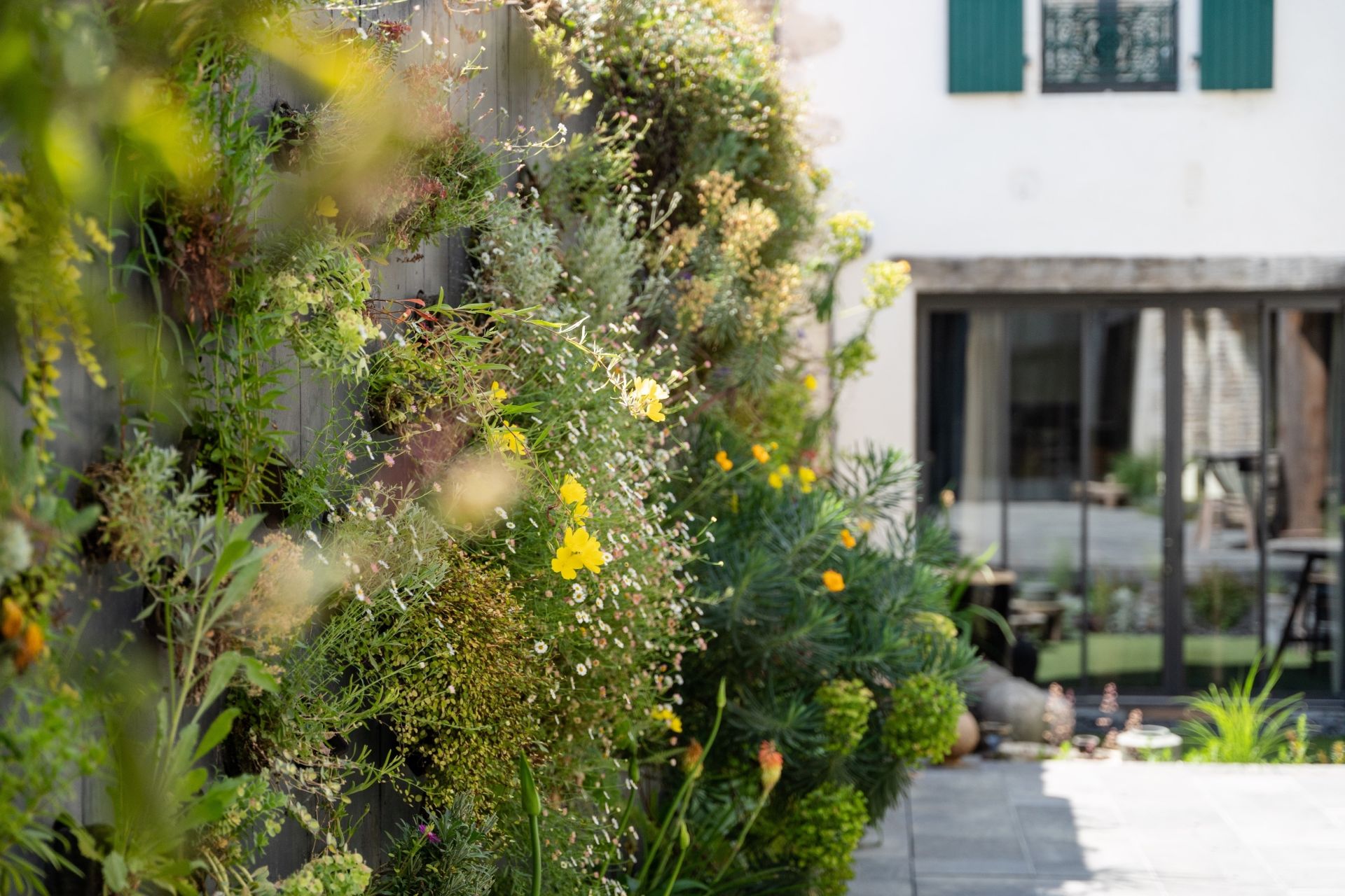 luxury house 10 Rooms for sale on STE MARIE DE RE (17740)