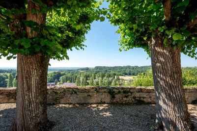 Vente Château Bordeaux 30&nbsp;Pièces 800&nbsp;m²