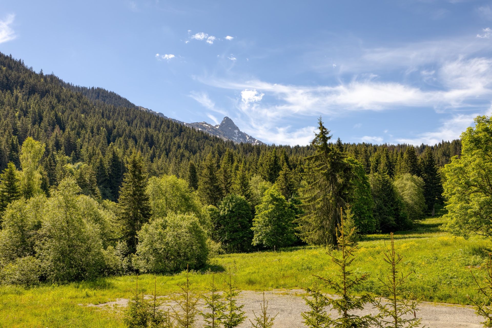 appartement de luxe 6 Pièces en vente sur MERIBEL LES ALLUES (73550)